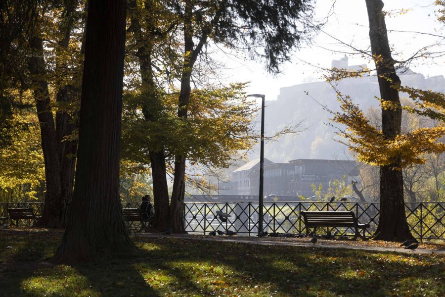 parc micaud besancon